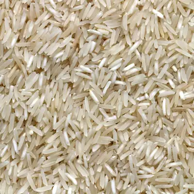 Close up of long grain white rice